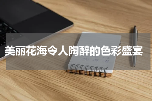  美丽花海令人陶醉的色彩盛宴