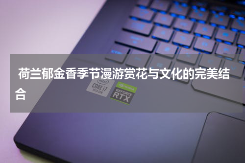  荷兰郁金香季节漫游赏花与文化的完美结合