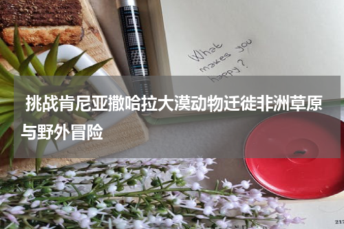  挑战肯尼亚撒哈拉大漠动物迁徙非洲草原与野外冒险