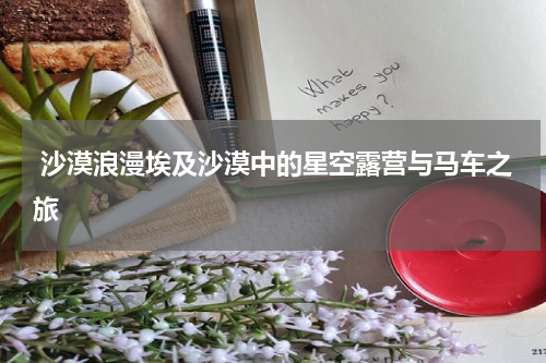  沙漠浪漫埃及沙漠中的星空露营与马车之旅