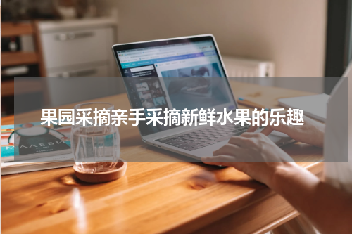  果园采摘亲手采摘新鲜水果的乐趣