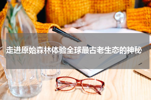  走进原始森林体验全球最古老生态的神秘