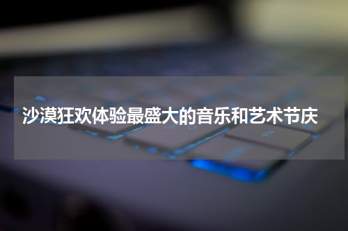  沙漠狂欢体验最盛大的音乐和艺术节庆
