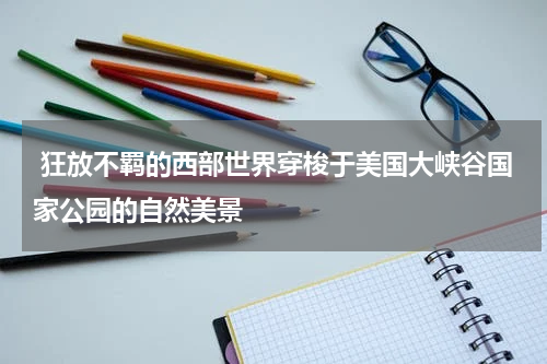  狂放不羁的西部世界穿梭于美国大峡谷国家公园的自然美景