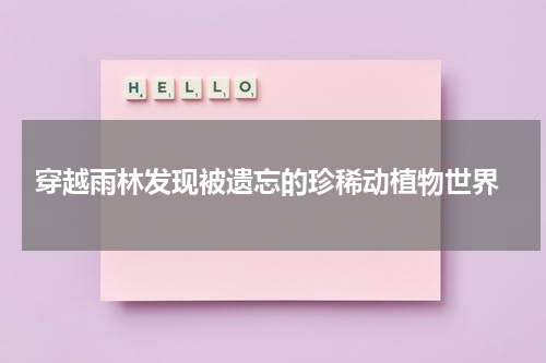  穿越雨林发现被遗忘的珍稀动植物世界