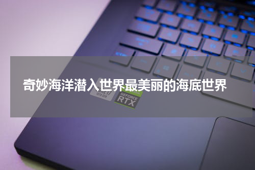  奇妙海洋潜入世界最美丽的海底世界