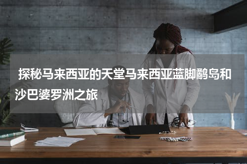  探秘马来西亚的天堂马来西亚蓝脚鹬岛和沙巴婆罗洲之旅