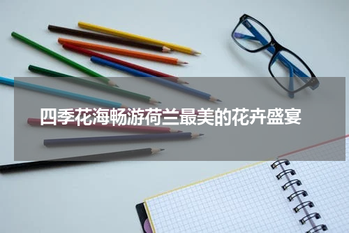  四季花海畅游荷兰最美的花卉盛宴