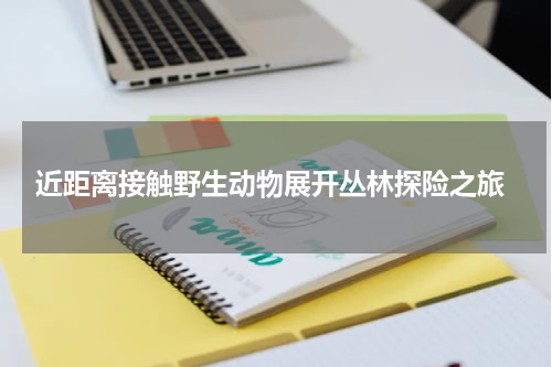  近距离接触野生动物展开丛林探险之旅