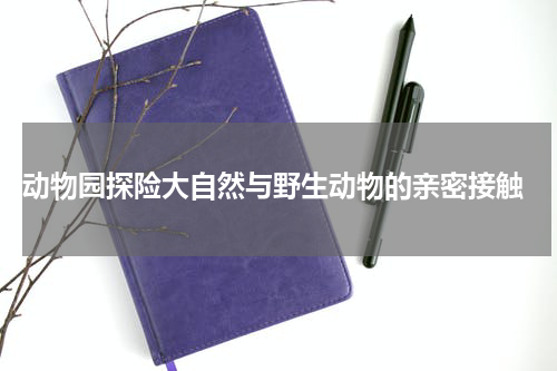  动物园探险大自然与野生动物的亲密接触