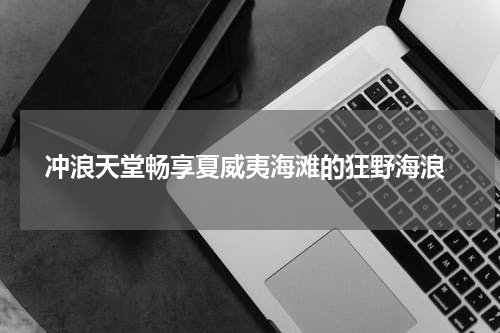  冲浪天堂畅享夏威夷海滩的狂野海浪