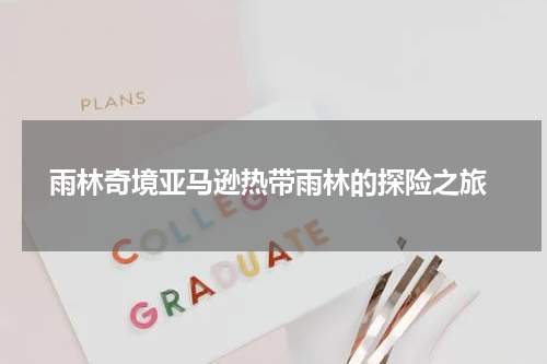  雨林奇境亚马逊热带雨林的探险之旅