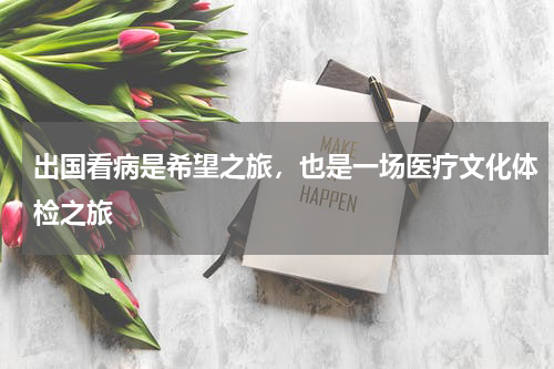出国看病是希望之旅，也是一场医疗文化体检之旅