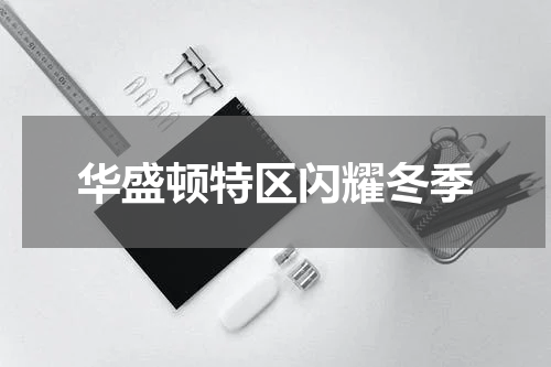 华盛顿特区闪耀冬季