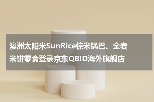 澳洲太阳米SunRice棕米锅巴、全麦米饼零食登录京东QBID海外旗舰店