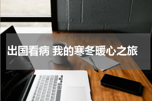 出国看病 我的寒冬暖心之旅