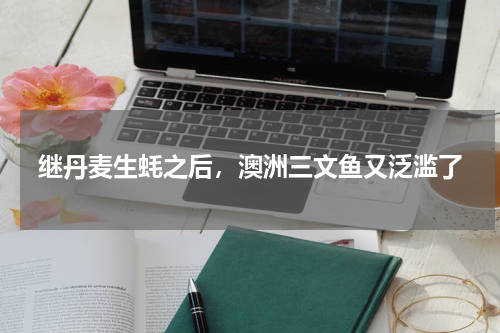 继丹麦生蚝之后，澳洲三文鱼又泛滥了