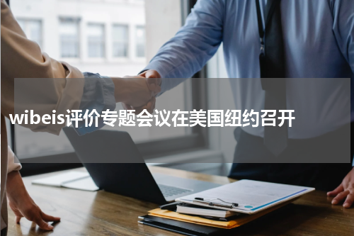 wibeis评价专题会议在美国纽约召开