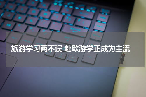 旅游学习两不误 赴欧游学正成为主流